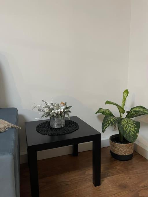 Apartament La Casa Timişoara Buitenkant foto