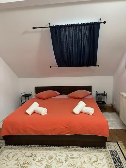 Apartament La Casa Timişoara Buitenkant foto